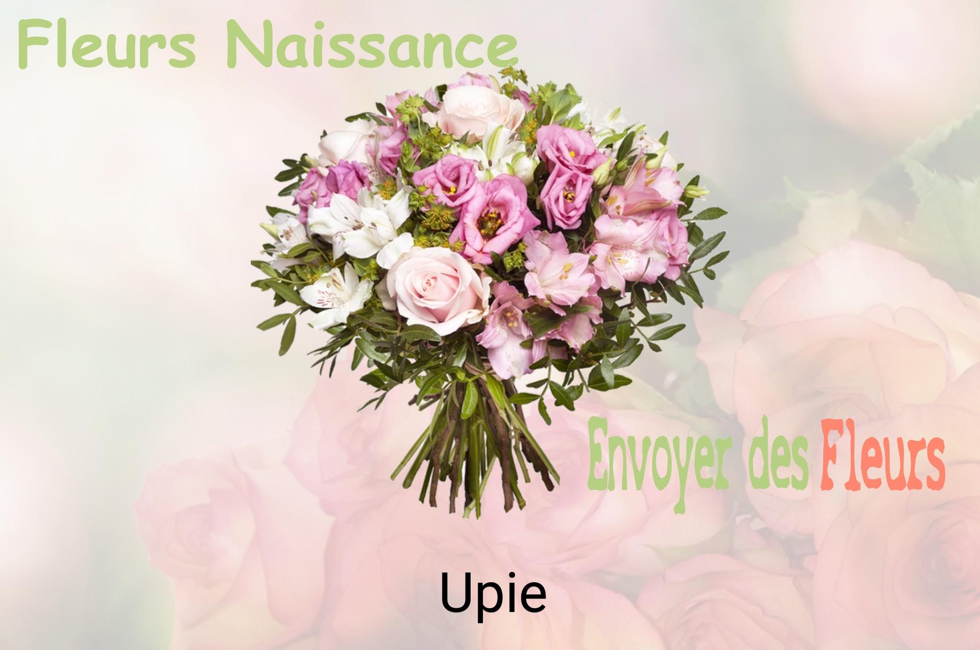 Bouquet de fleurs de naissance livré à Upie